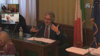 Intervento di Francesco Verducci durante laudizione dei direttori dei tg Rai in Commissione Segre [upl. by Izogn]