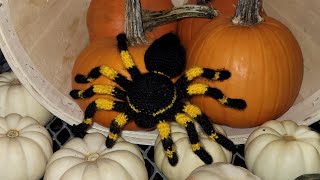 Crochet spider 🕷 Video1 legs and pedipalps [upl. by Nairrod]