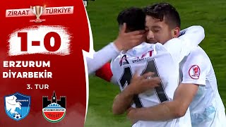 Erzurumspor 10 Diyarbekirspor MAÇ ÖZETİ Ziraat Türkiye Kupası 3 Tur Maçı  01112023 [upl. by Eedahs]