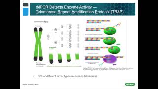 Using Droplet Digital™ PCR for Cancer and Liquid Biopsy Studies [upl. by Christos]