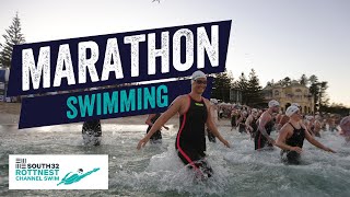 Marathon swimming through the open ocean Tips tricks and advice  South32 Rottnest Channel Swim [upl. by Isoj891]