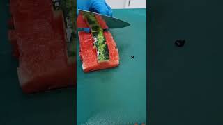 Amazing Watermelon fruit shorts shortsvideo shortsfeed culinaryadventure [upl. by Coltun]