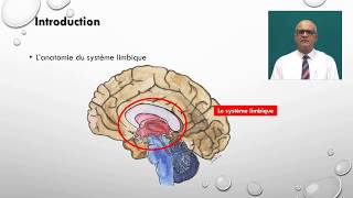 Le système limbique  Introduction [upl. by Oemac265]