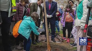 Tree planting grants awarded to Holyoke Springfield amp Westfield [upl. by Hitt366]