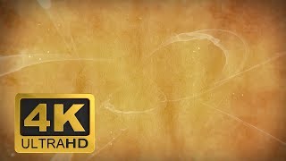 Vintage Principles  4K Motion Background Loop Free Download [upl. by Anirec337]