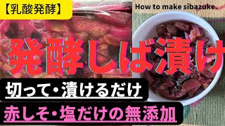 【発酵しば漬け】【乳酸発酵】切って漬けるだけ。赤しそ、塩だけの無添加。何とも言えない乳酸発酵の酸っぱさ。キュッと絞って。How to make Fermented pickled eggplant [upl. by Anrehs]