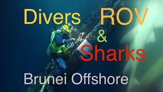 Divers ROV amp Sharks  Brunei offshore Saturation Diving 201819 Kreuz Challenger [upl. by Saturday388]