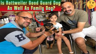 Is Rottweiler Good Guard Dog  Puppy Well As Safe Family  Kids  Senior Citizen [upl. by Elrod]