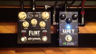 Strymon Flint vs Stereo Wet Reverb [upl. by Kara]