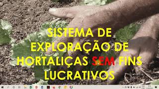 Aula 04 Olericultura Tipos de Exploração de Hortaliças Parte 01 [upl. by Odlawso]