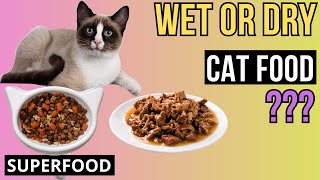 Wet vs Dry cat food What is better for your CAT [upl. by Akeryt]