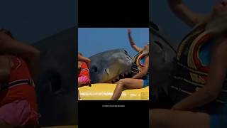 Watch This Woman Snapped In Half By A Shark [upl. by Noskcaj282]