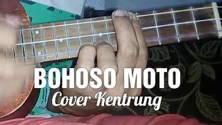 BOHOSO MOTO COVER KENTRUNG [upl. by Nihcas]