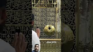 masjidnabwi madenah masjidalharambeautifulview viralvideo trendingshorts [upl. by Urata]