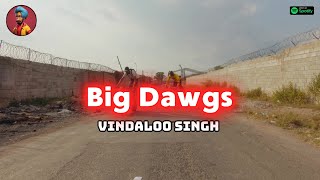 BIG DAWGS l Funny Indian Version by Vindaloo Singh [upl. by Dagall]