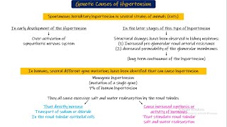 Genetic causes of hypertension Chapter 19 part 9 Guyton and Hall Physiology [upl. by Adnolor]