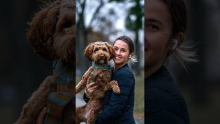 Yoshi the Labradoodle 🦮  Street Photography streetphotography labradoodle portrait autumn fyp [upl. by Ynaffik65]