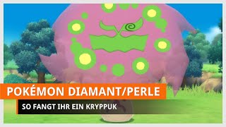 Pokémon Strahlender Diamant amp Leuchtende Perle Kryppuk fangen [upl. by Ahseinat153]