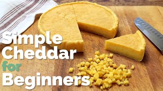 Home Cheesemaking  no special equipment required  Easy Farmhouse Cheddar Hard Cheese Recipe [upl. by Healey]