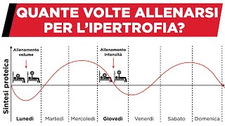 Quante volte allenarsi per la massa muscolare [upl. by Anna-Diana]