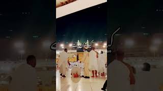 Wo Mera Nabi Mera Nabi Mera Nabi hai shorts yshorts naatislamic islamicstatus [upl. by Shena]