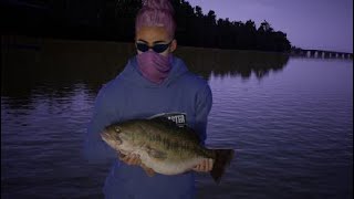 Bassmaster Fishing 202220241203210259 [upl. by Nyral]