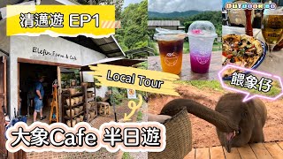 《清邁遊2024EP1》Local tour餵象仔 Elefin Farm amp Cafe  Baan Kang Wat 文藝村 Adirak Pizza 超好食pizza [upl. by Tegdirb900]