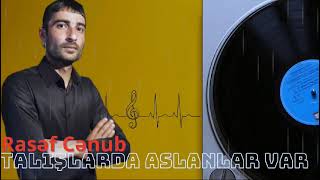 Rasef Cenub Talislarda Aslanlar Var  Official Audio  2024 [upl. by Mersey]