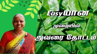 Avarai farming Theriyuma  ktify facts agriculture tamil food amazingfacts science education [upl. by Niledam]