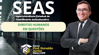 DIREITOS HUMANOS EM QUESTÕES  SEAS  Prof Ronaldo Júnior [upl. by Allicsirp]