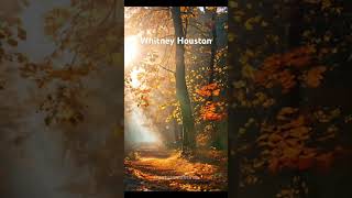 Who Likes It Nature Amazing Panorama Song Whitney Houston [upl. by Sax]