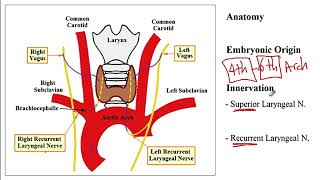 USMLE ACE Video 132 Ortner Syndrome [upl. by Dow]