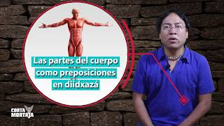 Las partes del cuerpo como preposiciones en diidxaza Zapoteco [upl. by Uy]