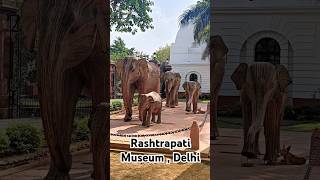 Rashtrapati Museum Delhi PresidentOfIndia bharat india [upl. by Fancie]