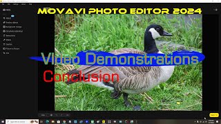 Movavi Photo Editor 2024 Video Demonstrations Conclusion [upl. by Graham417]