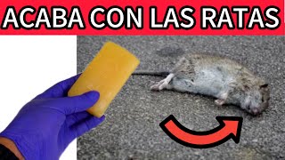 ELIMINA LAS RATAS EN MENOS DE 5 MINUTOS CON ESTE INGREDIENTE [upl. by Schlessinger774]