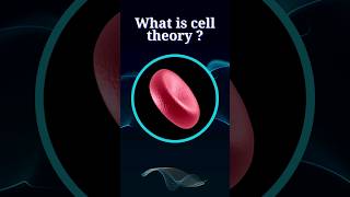 quotWhat is Cell Theory  A Breakthrough in Biologyquot [upl. by Jankell58]