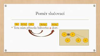 Významové poměry mezi větnými členy [upl. by Anson]