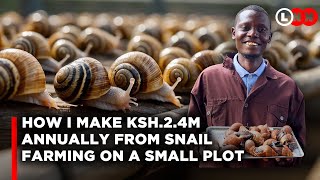 How snail farming in a small piece of land makes me great profits and why I cannot meet the demand [upl. by Amolap]