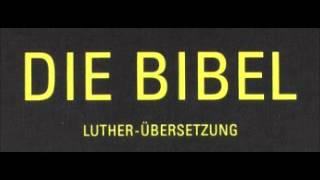 Die Bibel 43 Das Evangelium Nach Johannes Kapitel 1  21 [upl. by Aketahs523]