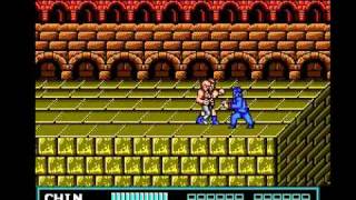 Double Dragon 3 Speed Run 1027 [upl. by Anauqaj850]