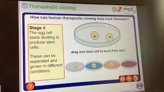 KS4GCSEBiologytherapeutic cloning [upl. by Gupta]