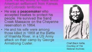 1864 The Sand Creek Massacre [upl. by Elleuqram]