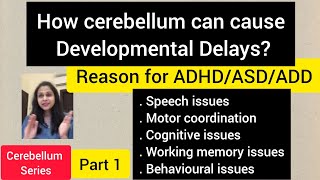 How cerebellum can cause developmental delaysReason for ADHDASDADD amp learning issuespart 1 [upl. by Asirral611]