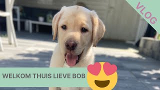 WELKOM THUIS BOB een vlog vol puppyspam VLOG80 Ingrid Speijer en leven met chronische pijn [upl. by Anyd244]