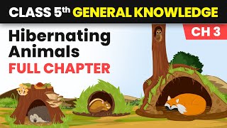 Hibernating Animals  Full Chapter Explanation and Exercise  Class 5 General Knowledge Chapter 3 [upl. by Robena39]