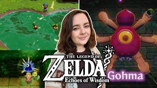 FARON TEMPLE  The Legend of Zelda Echoes of Wisdom  First Playthrough Pt 9 [upl. by Oswald]