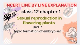 formation of embryo sacsexual reproduction in flowering plants NCERT line by line explanation [upl. by Ardeed481]