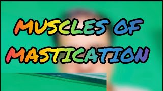 ANATOMY VIDEO SHOTS Muscles of Mastication [upl. by Eanyl70]