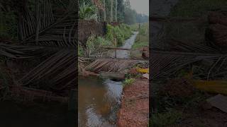 നാട്ടിൻപുറത്തെ മീൻപിടുത്തം villagefishing [upl. by Loux]